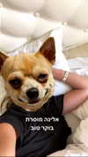 kkariinnnnn Altpins Profile Picture