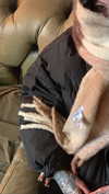 kouda.gr Altpins Profile Picture