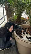 kouda.gr Altpins Profile Picture