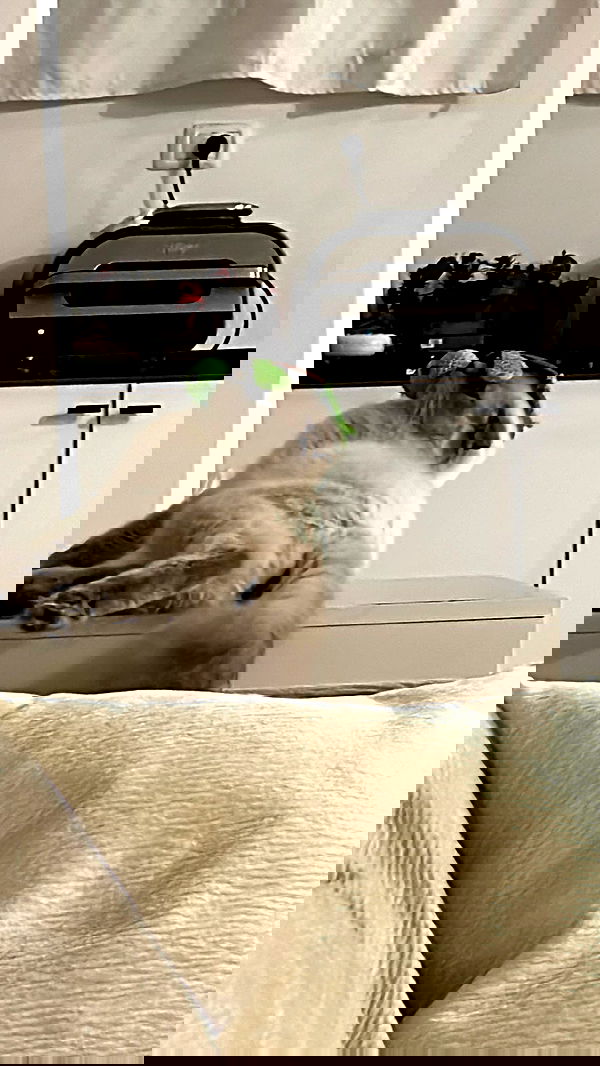 laluzone laluzone archive image