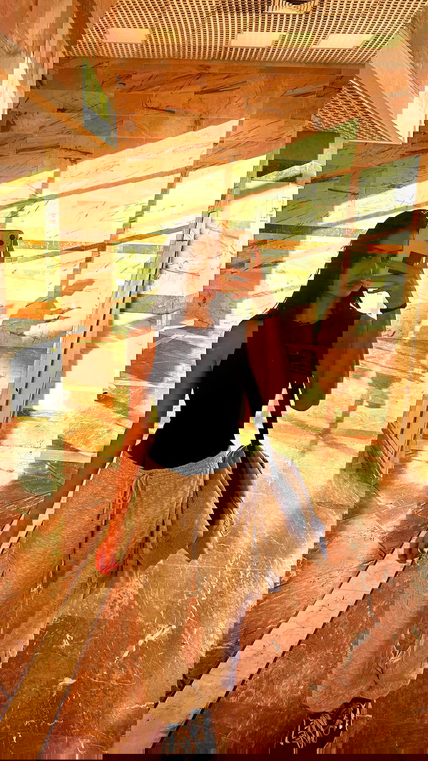 laluzone laluzone archive image