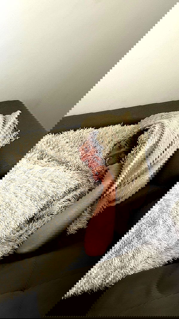 laluzone laluzone archive image