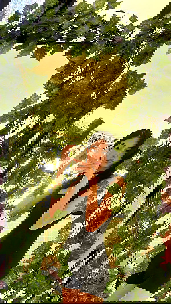 laluzone laluzone archive image