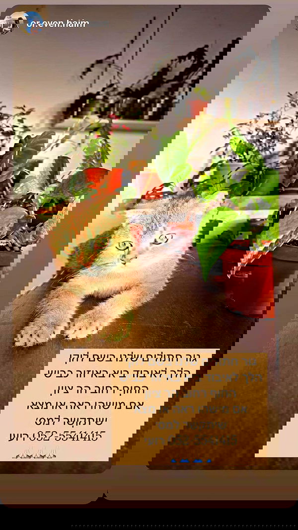 laluzone laluzone archive image