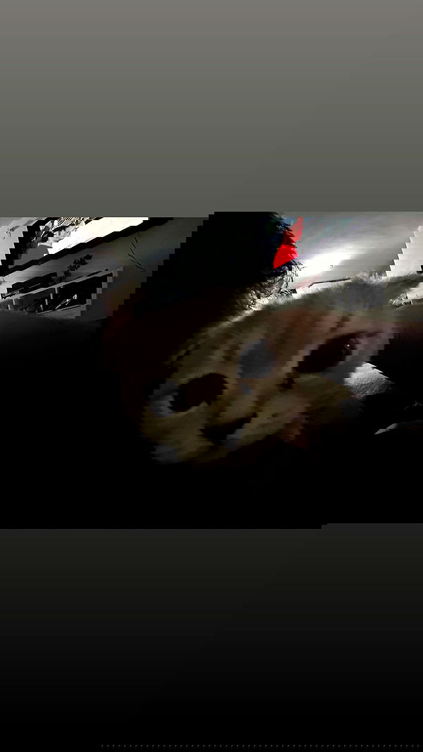 laluzone laluzone archive image