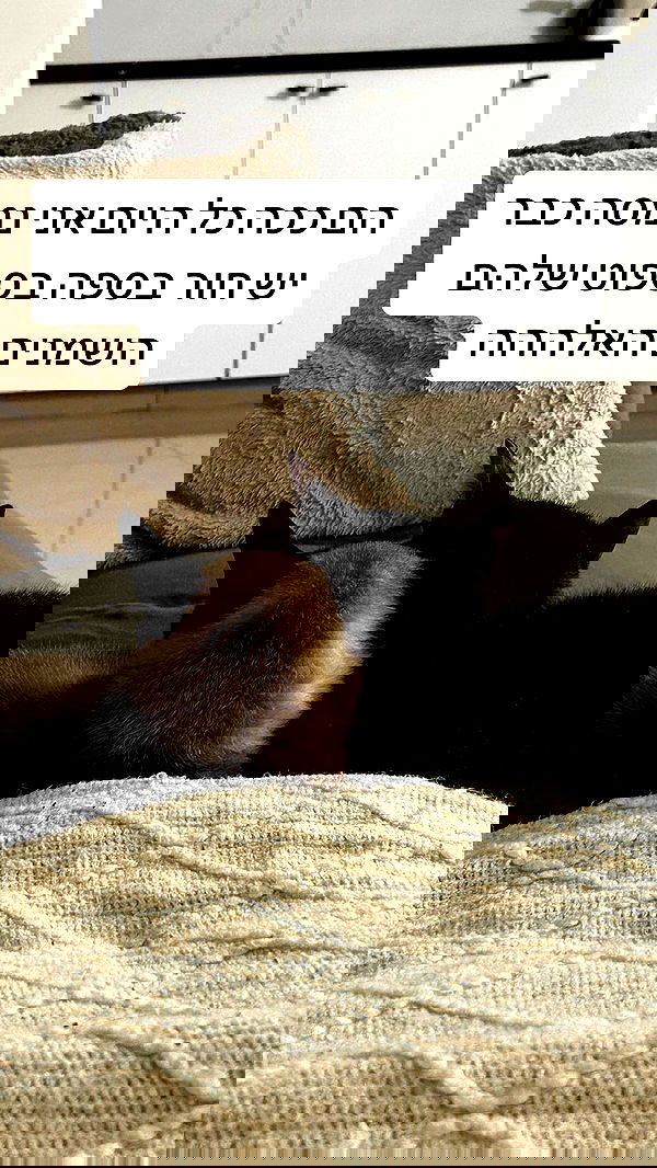 laluzone laluzone archive image