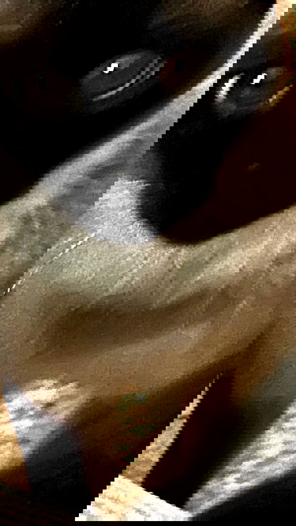 laluzone laluzone archive image