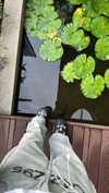 lapahappa1 Altpins Profile Picture