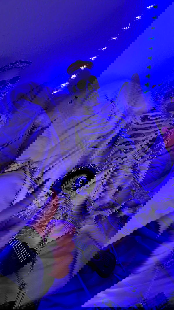 laurinchhhe image ~ Altpins