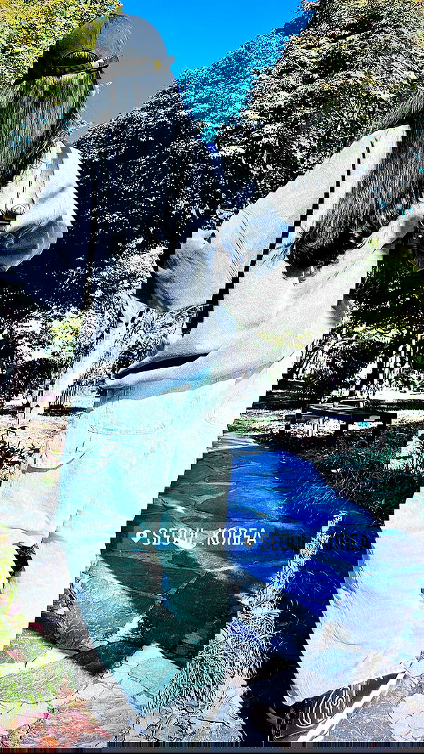 laurinchhhe image ~ Altpins