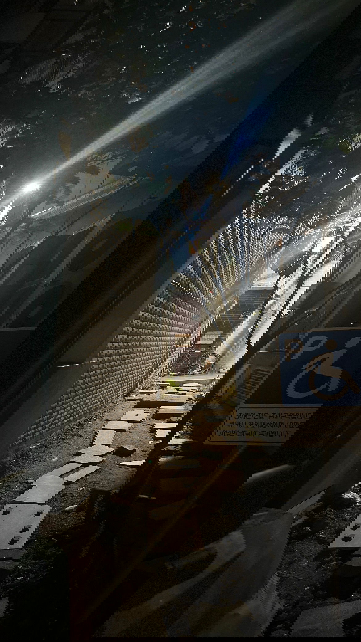 laurinchhhe instagram image archive image