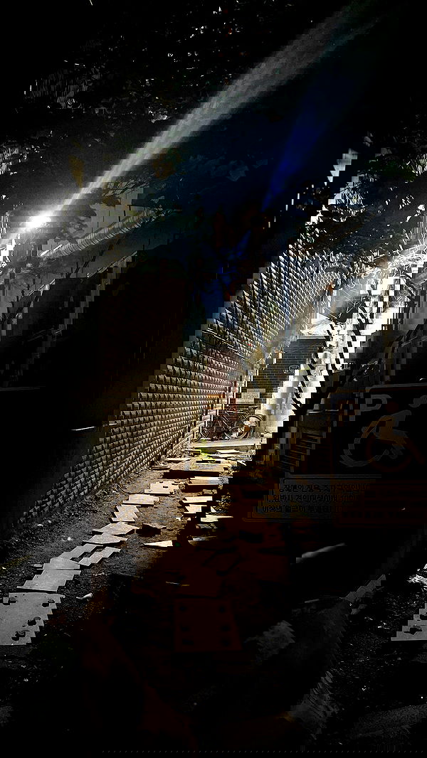 laurinchhhe image ~ Altpins