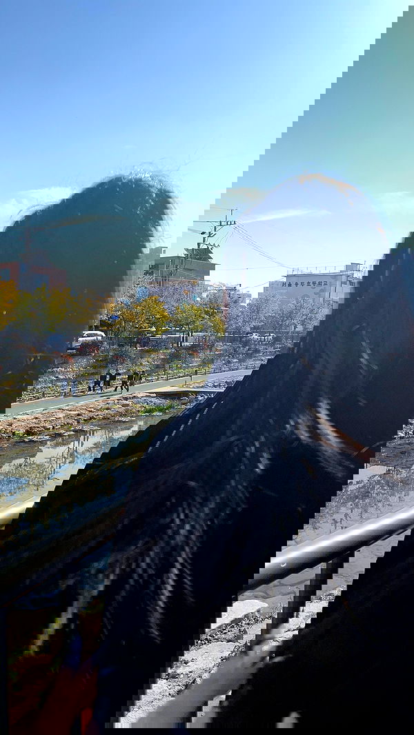 laurinchhhe image ~ Altpins