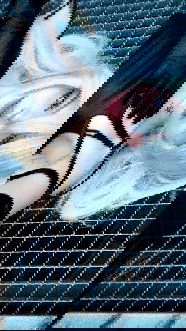 laurinchhhe image ~ Altpins