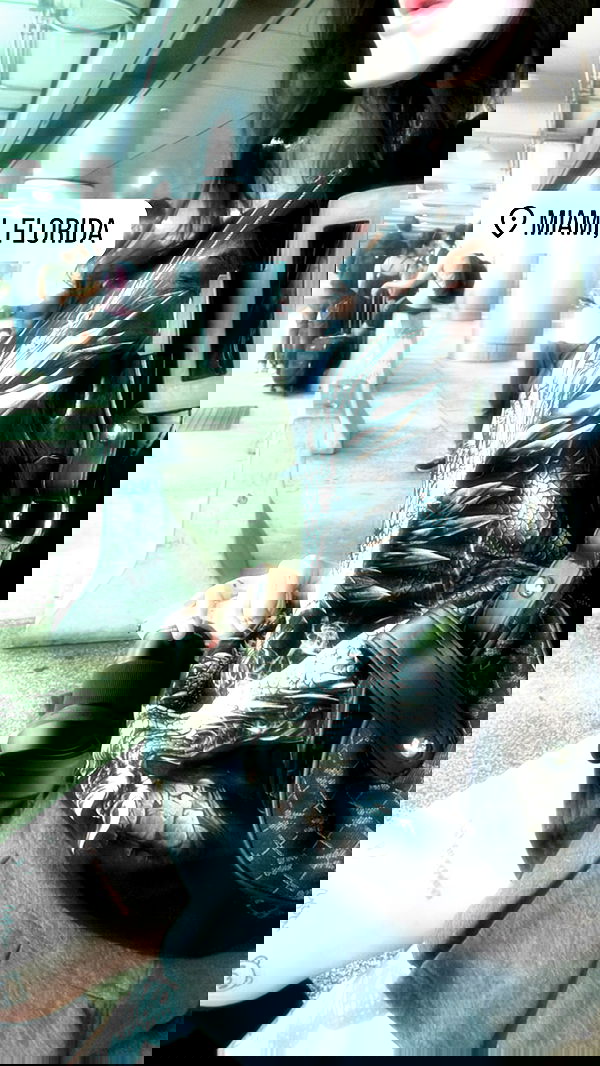 laurinchhhe image ~ Altpins