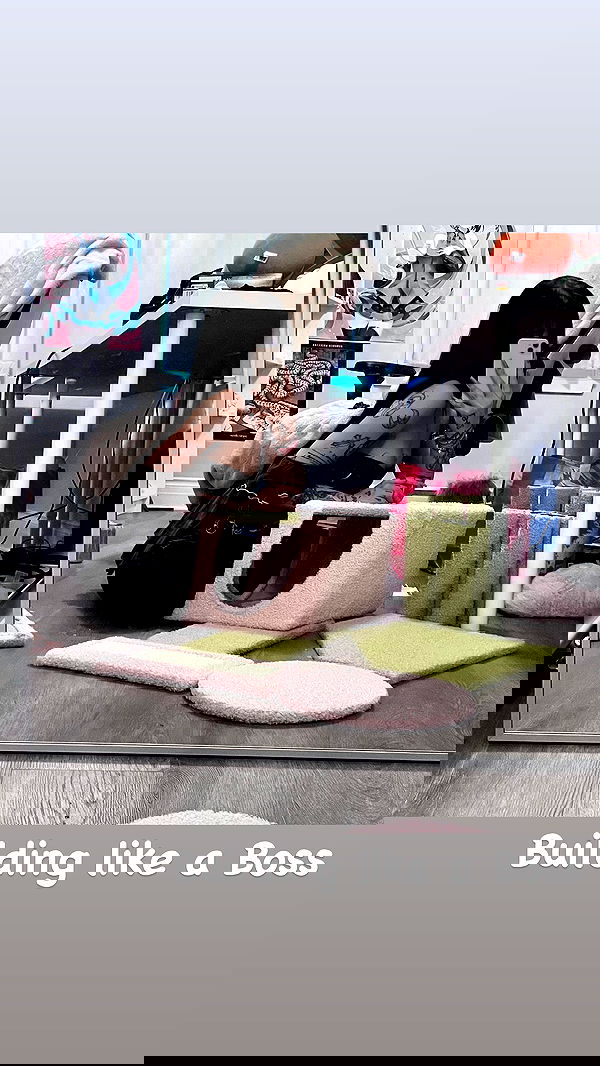 laurinchhhe image ~ Altpins