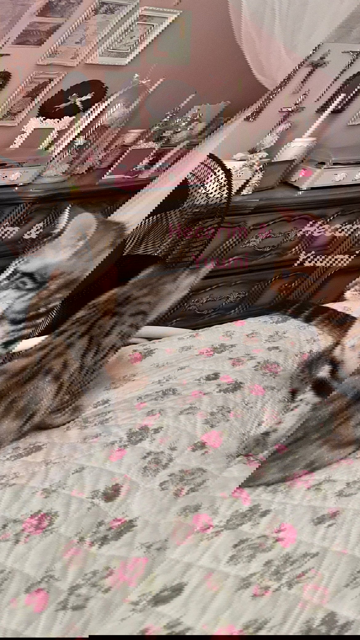 laurinchhhe instagram image archive image