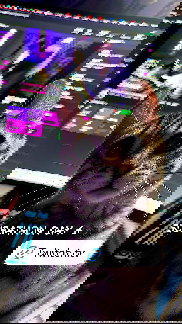 laurinchhhe image ~ Altpins