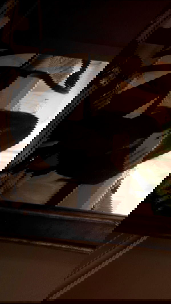 laurinchhhe image ~ Altpins