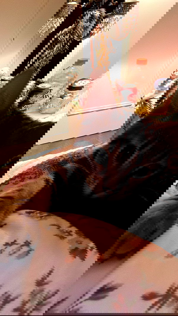 laurinchhhe image ~ Altpins