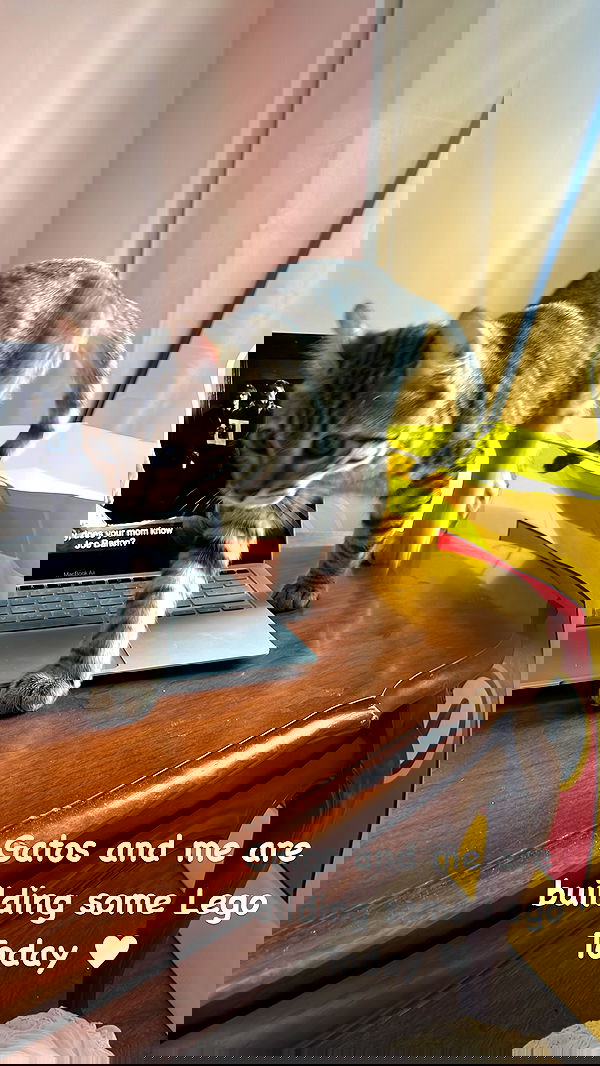 laurinchhhe image ~ Altpins