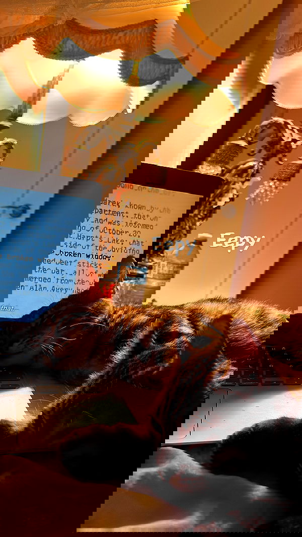 laurinchhhe image ~ Altpins