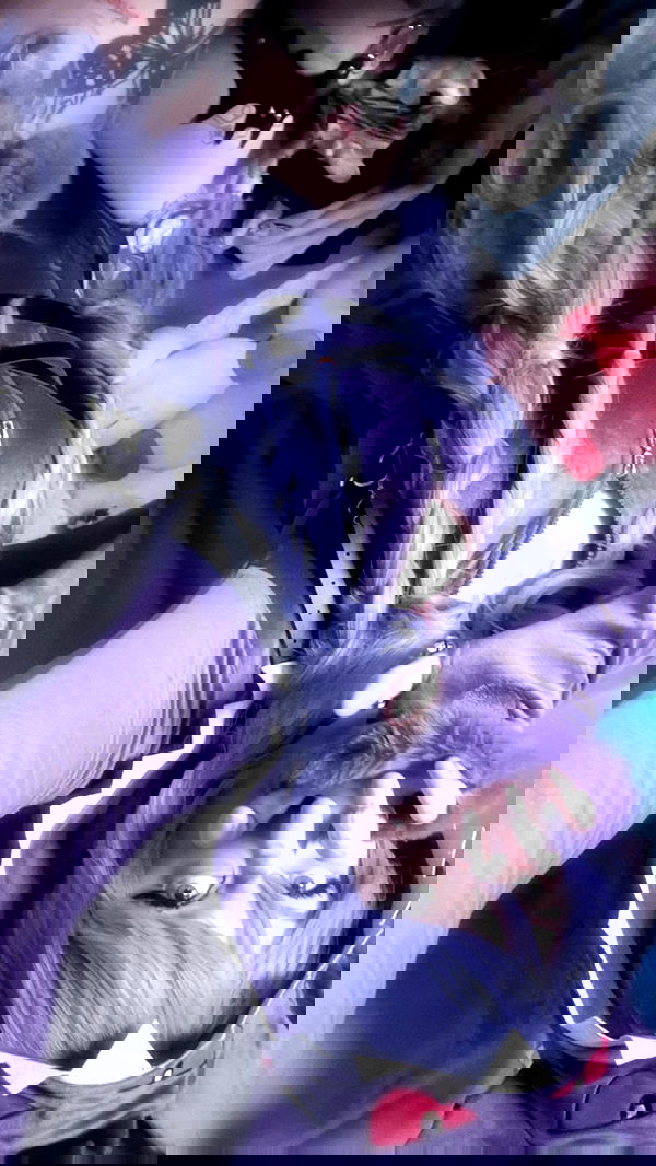 laurinchhhe image ~ Altpins