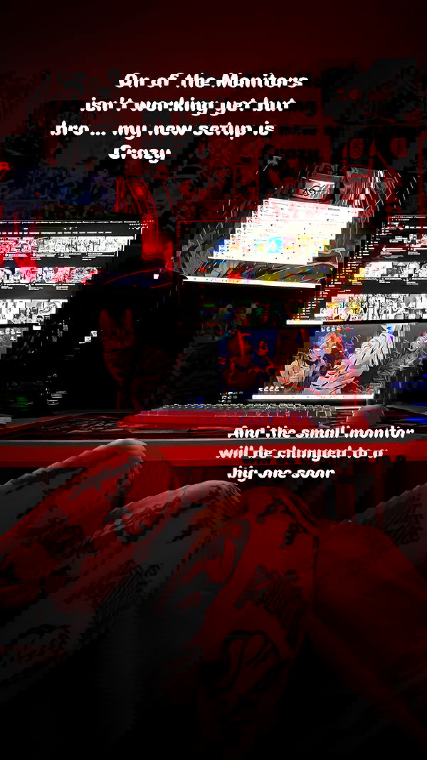 laurinchhhe image ~ Altpins