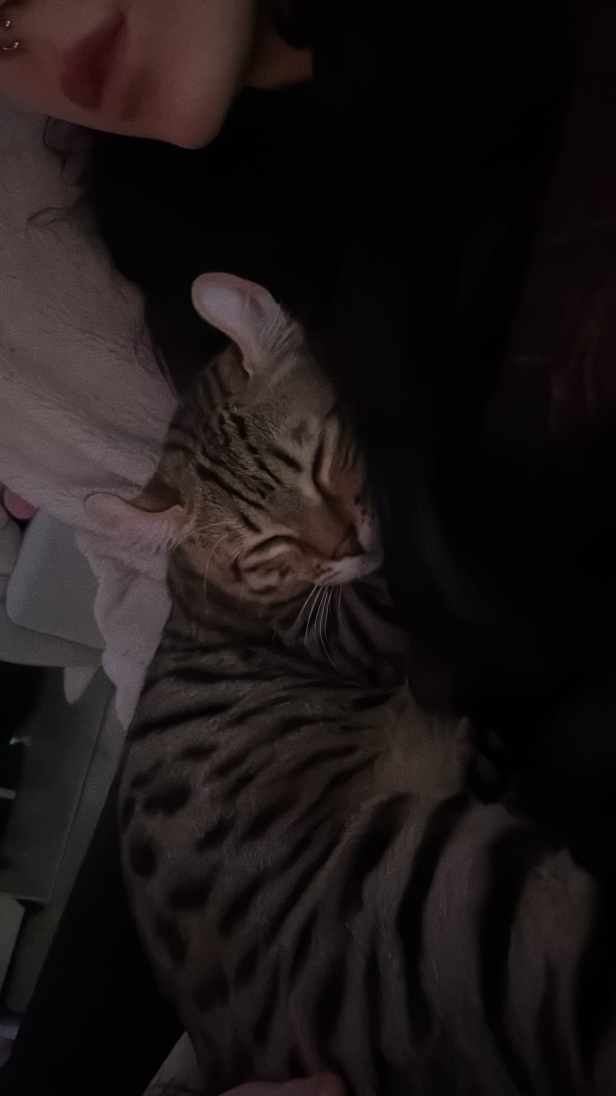 laurinchhhe instagram image archive image