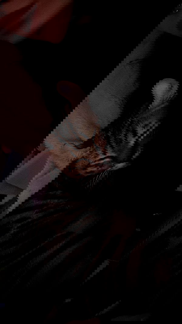 laurinchhhe image ~ Altpins