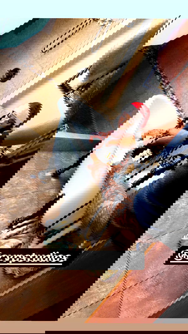 laylafleet1 laylafleet1 archive image