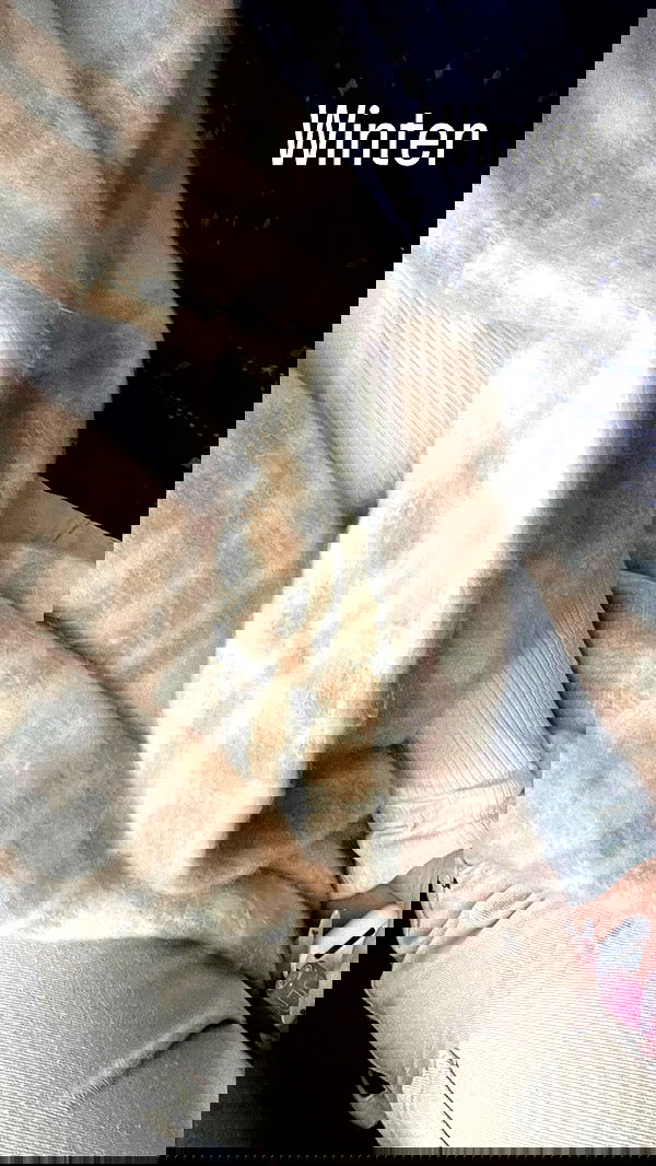 lea._3827 lea._3827 archive image