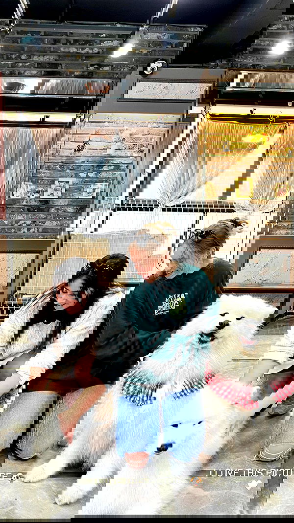 lea._3827 lea._3827 archive image