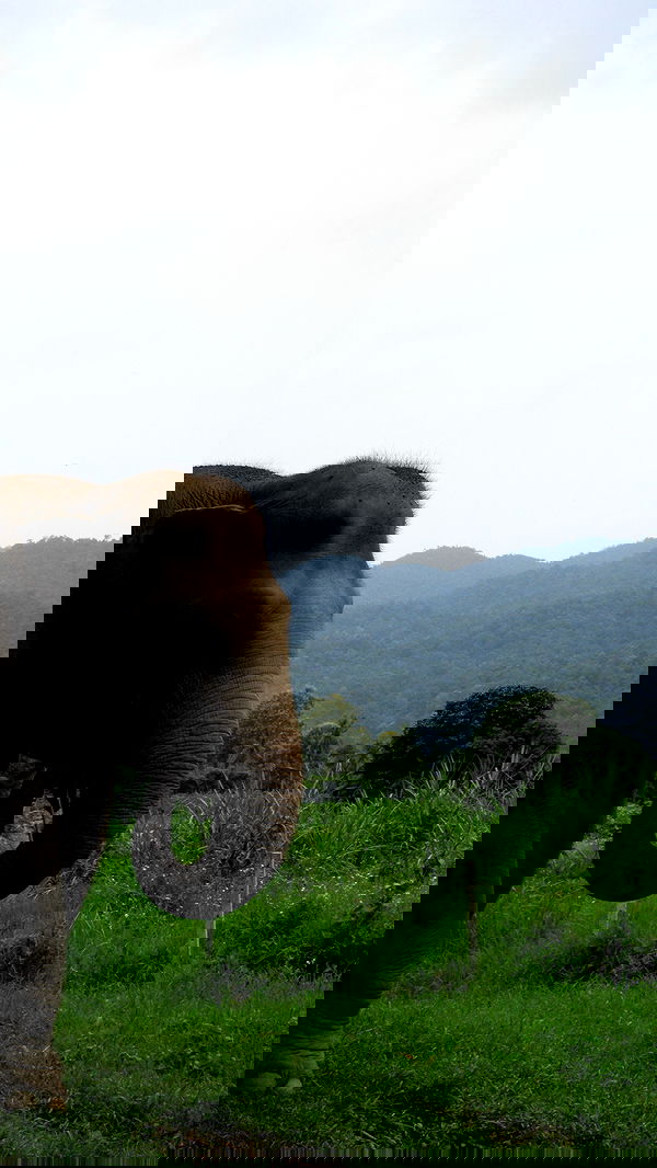 lea._3827 lea._3827 archive image