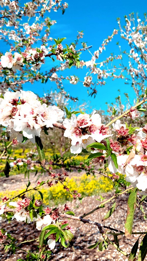 lianaayoun instagram image archive image