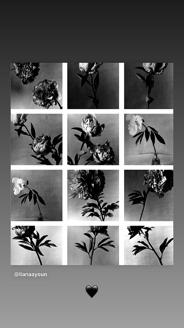 lianaayoun instagram image archive image