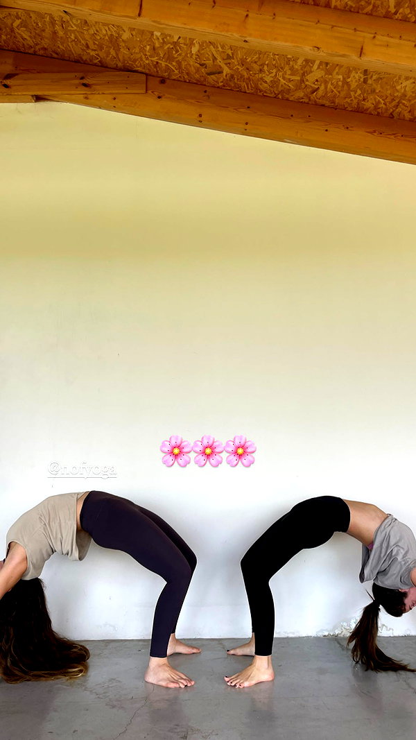 lianaayoun instagram image archive image