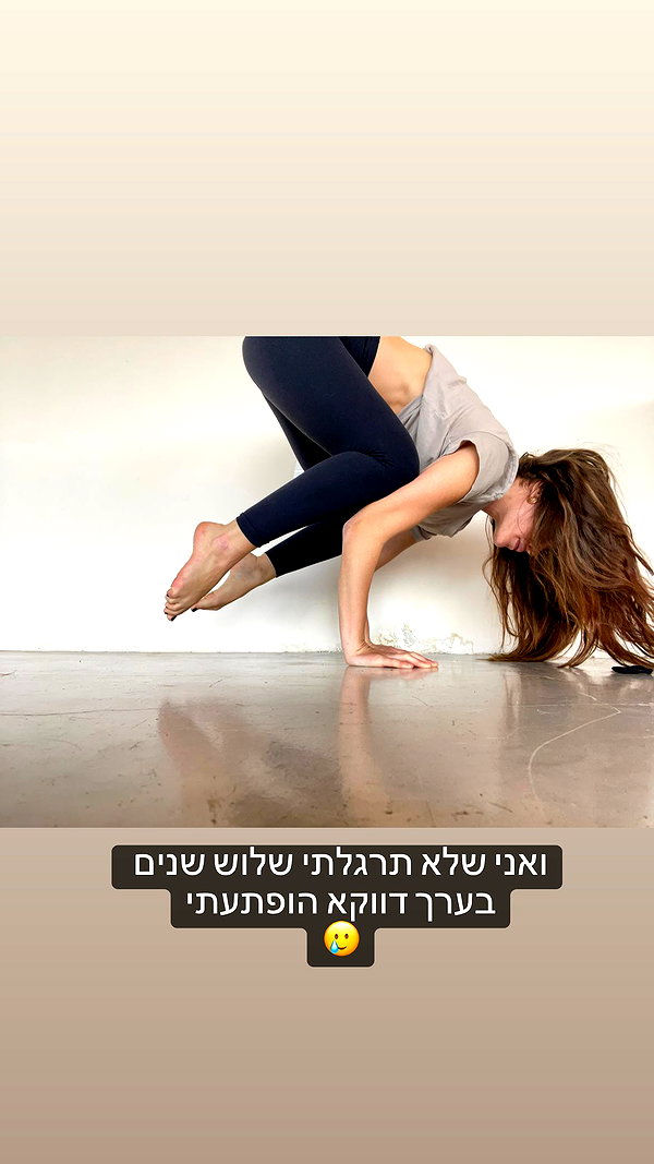 lianaayoun instagram image archive image