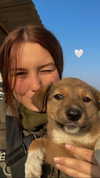 liar.lu Altpins Profile Picture