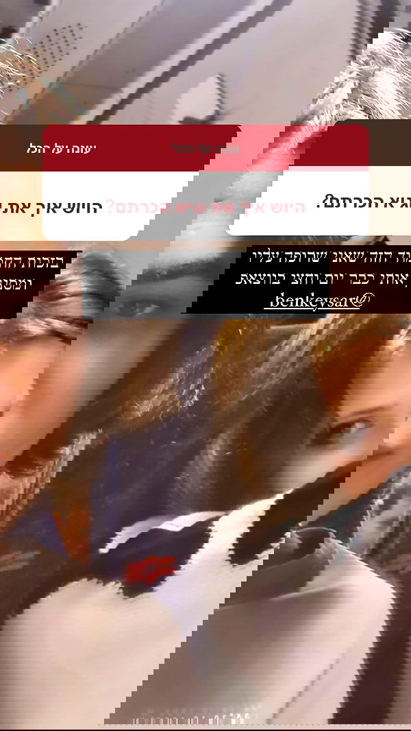 liashaked liashaked archive image