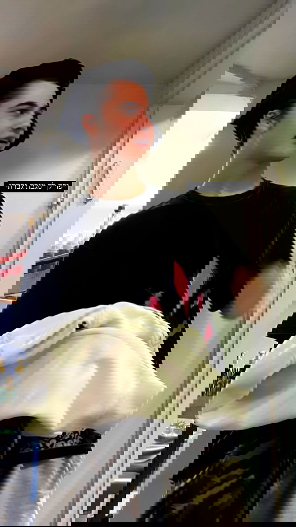 liashaked liashaked archive image