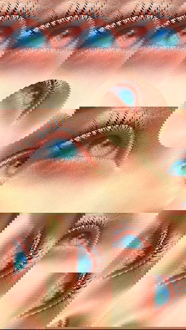 liashaked liashaked archive image