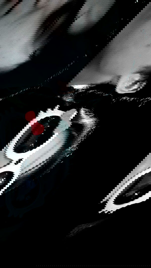 liashaked liashaked archive image