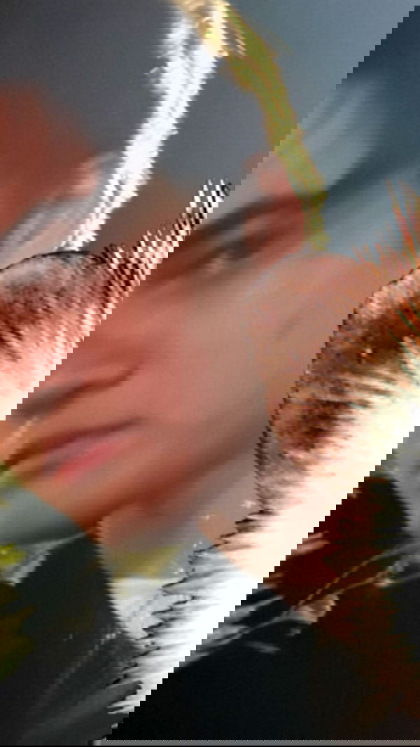 liashaked liashaked archive image