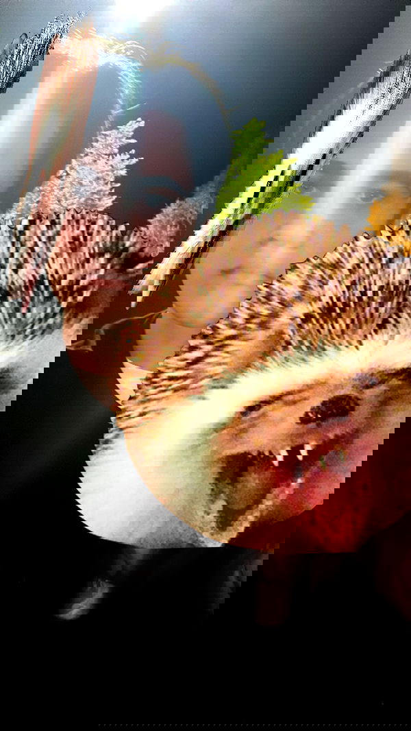 liashaked liashaked archive image