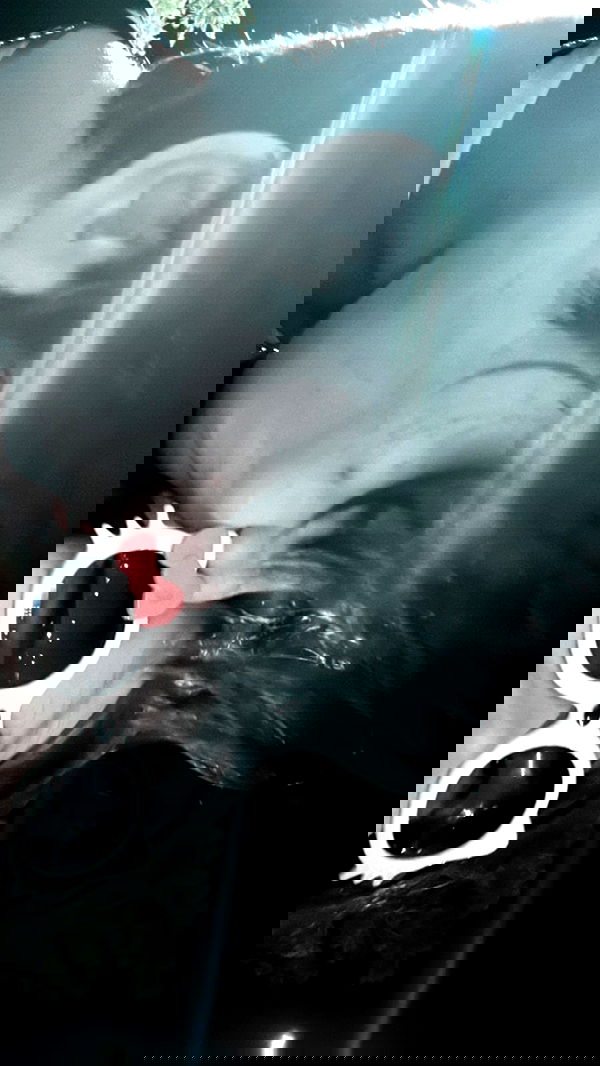 liashaked liashaked archive image