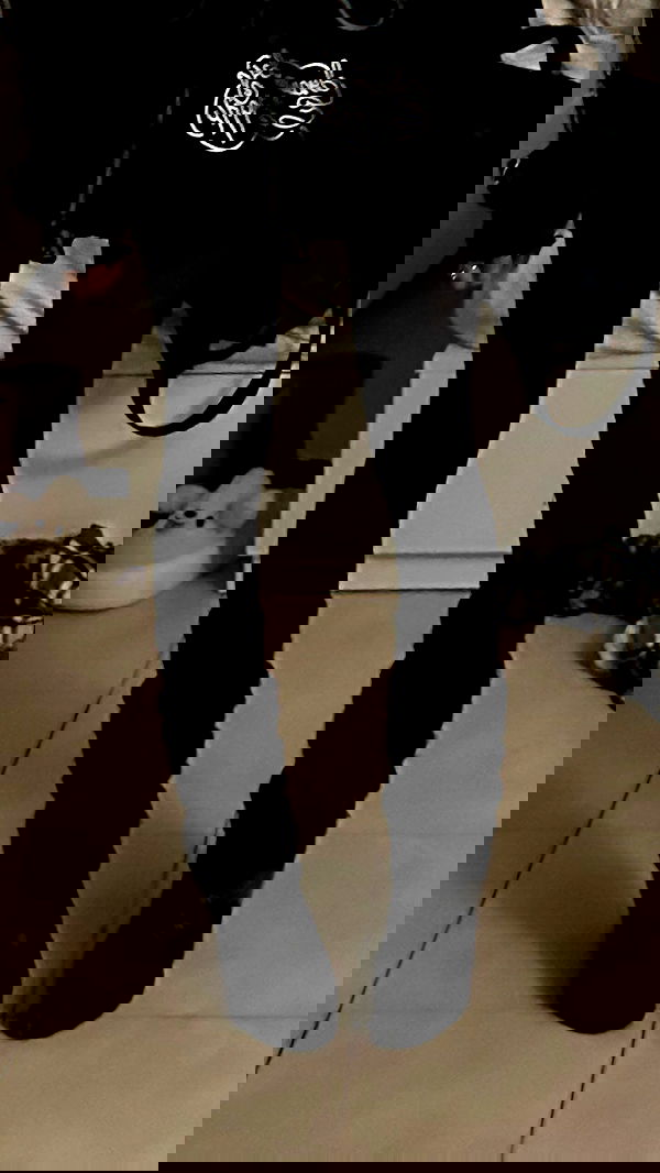 liashaked liashaked archive image