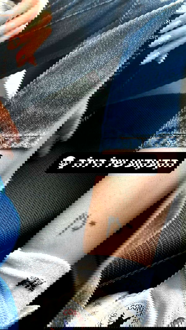 liashaked liashaked archive image