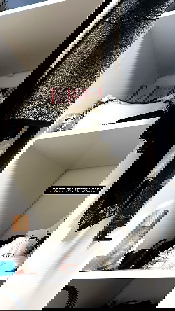 liashaked liashaked archive image