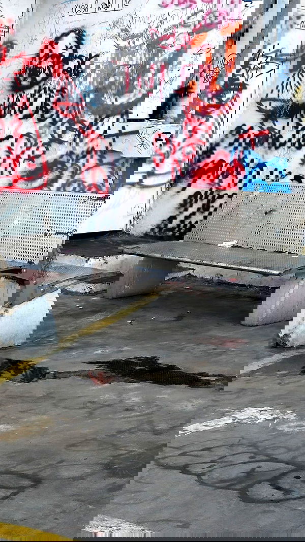 liashaked liashaked archive image